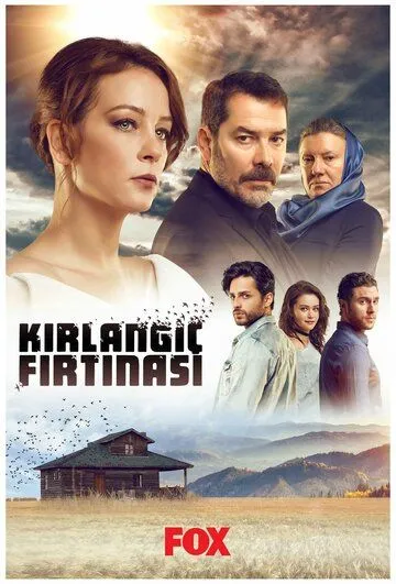 Шторм ласточки / Kirlangiç Firtinasi (2017)