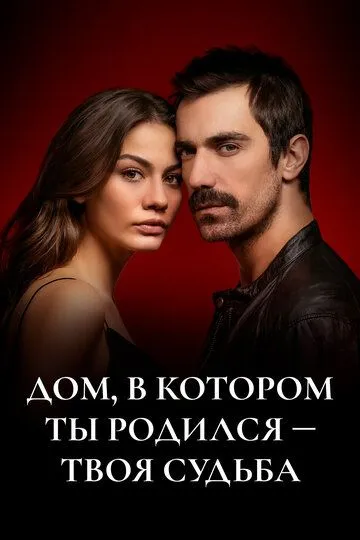 Дом, в котором ты родился – твоя судьба / Dogdugun Ev Kaderindir (2019)