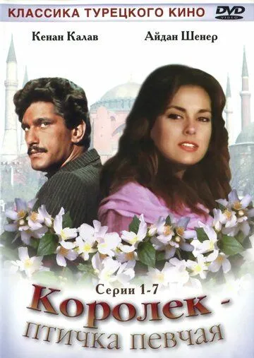 Королёк – птичка певчая / Çalıkuşu (1986)