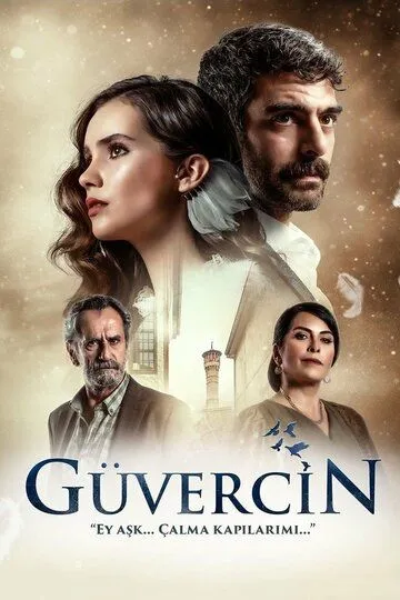 Голубка / Güvercin (2019)