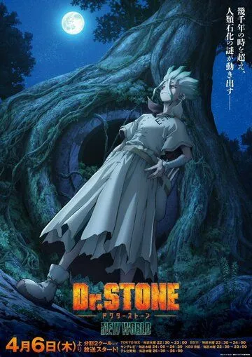 Доктор Стоун / Dr. Stone (2019)