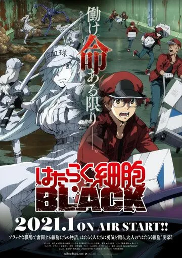 Клетки за работой! Тёмная сторона / Hataraku Saibou Black (2021)