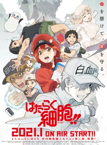 Клетки за работой! / Hataraku Saibou!! (2018)