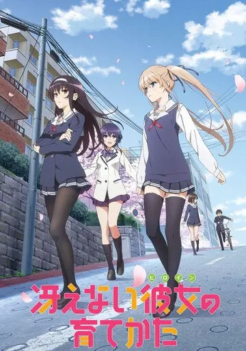 Как воспитать героиню из обычной девушки / Saenai hiroin no sodatekata (2015)