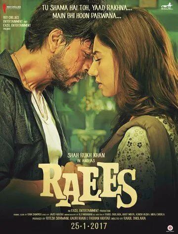 Богатей / Raees (2017)