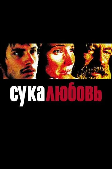 Сука-любовь / Amores perros (2000)