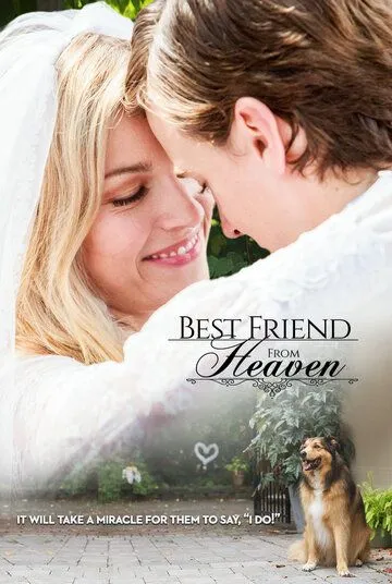 Лучший друг с небес / Best Friend from Heaven (2017)