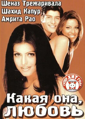 Какая она, любовь / Ishq Vishk (2003)