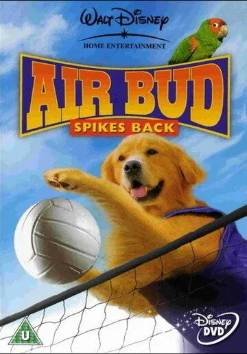 Король воздуха: Возвращение / Air Bud: Spikes Back (2003)