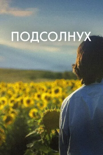 Подсолнух / Sunflower (2023)