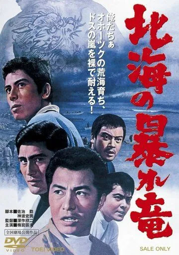 Дракон, буйствующий в Северном море / Hokkai no Abare-Ryu (1966)