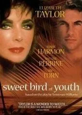 Сладкоголосая птица юности / Sweet Bird of Youth (1989)