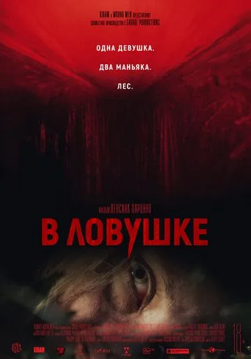 В ловушке / Hunted (2020)