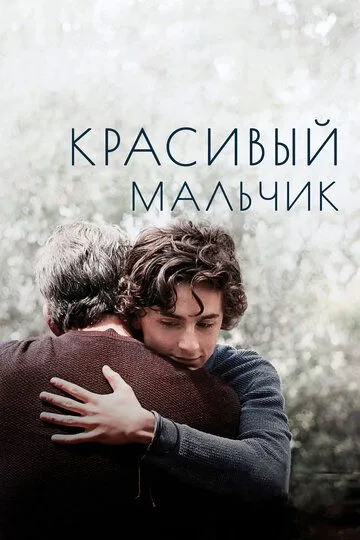 Красивый мальчик / Beautiful Boy (2018)