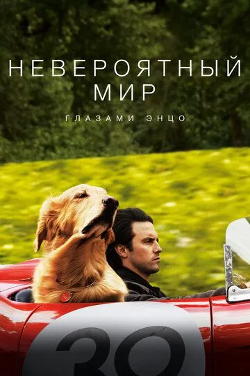 Невероятный мир глазами Энцо / The Art of Racing in the Rain (2019)