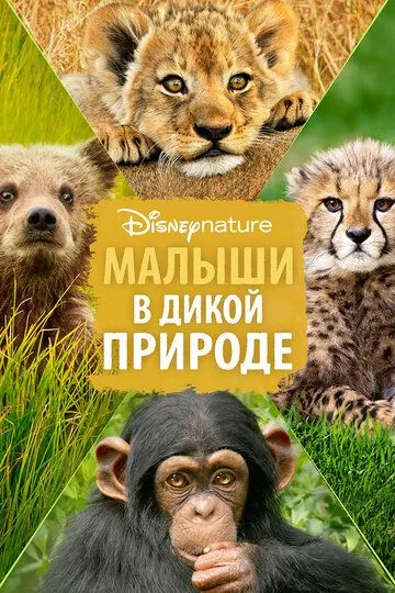 Малыши в дикой природе / Growing Up Wild (2015)