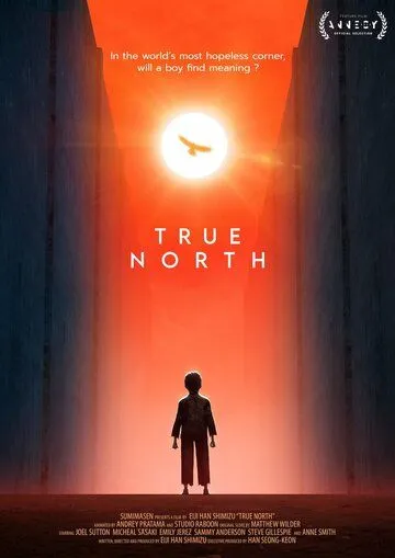 Настоящая Северная Корея / True North (2020)