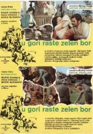 Назови пароль! / U gori raste zelen bor (1971)