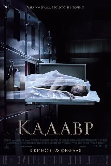 Кадавр / The Possession of Hannah Grace (2018)