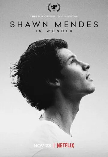 Шон Мендес: In Wonder / Shawn Mendes: In Wonder (2020)