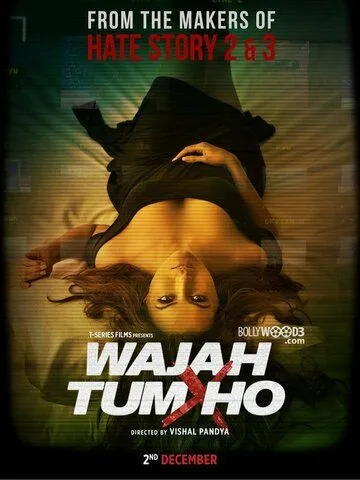 Ты всему причина / Wajah Tum Ho (2016)