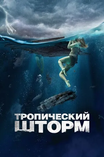 Тропический шторм / The Requin (2022)