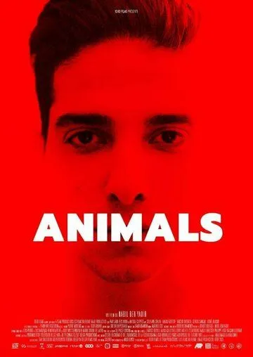 Животные / Animals (2021)