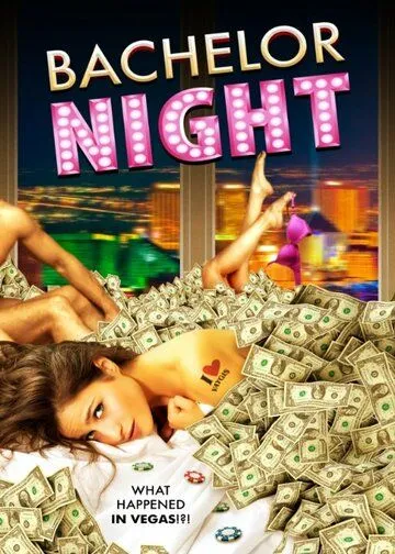 Холостяцкая вечеринка / Bachelor Night (2014)