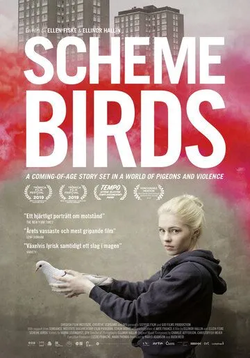 Птички предместья / Scheme Birds (2019)