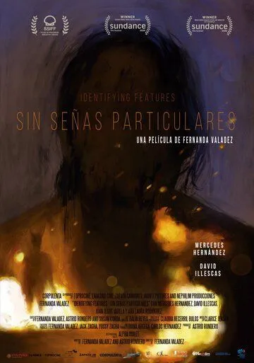 Без особых примет / Sin señas particulares (2020)