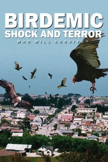 Птицекалипсис: Шок и трепет / Birdemic: Shock and Terror (2010)