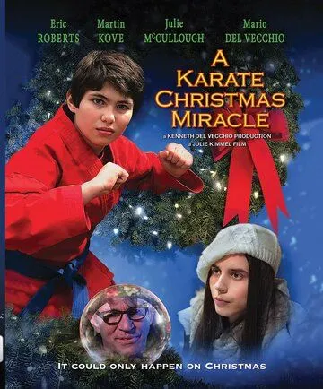 Рождественское чудо в стиле карате / A Karate Christmas Miracle (2019)