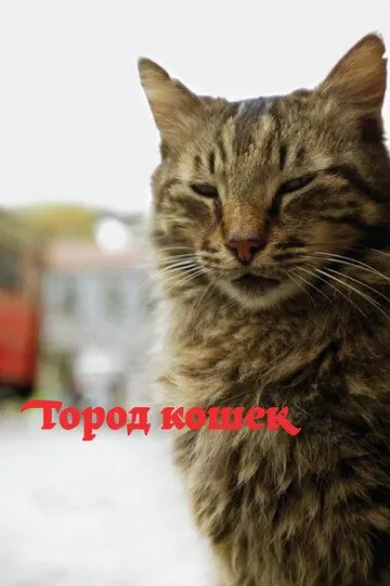 Город кошек / Kedi (2016)