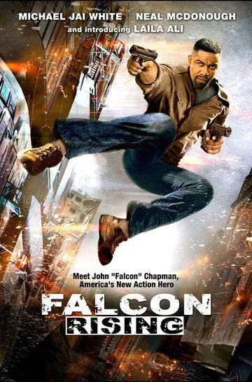 Восхождение Сокола / Falcon Rising (2013)