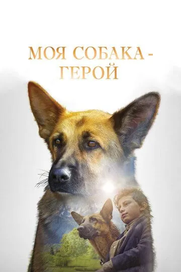 Моя собака - герой / Shepherd: The Story of a Jewish Dog (2018)