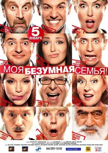 Моя безумная семья (2011)