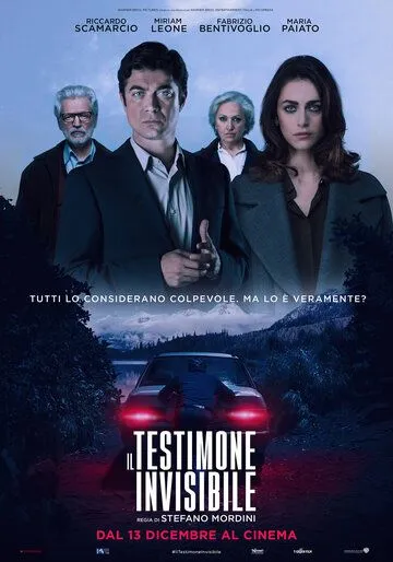 Невидимый свидетель / Il testimone invisibile (2018)