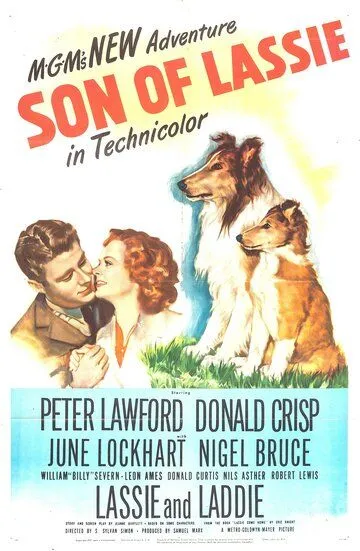 Сын Лесси / Son of Lassie (1945)