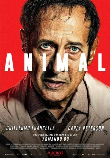 Животное / Animal (2018)