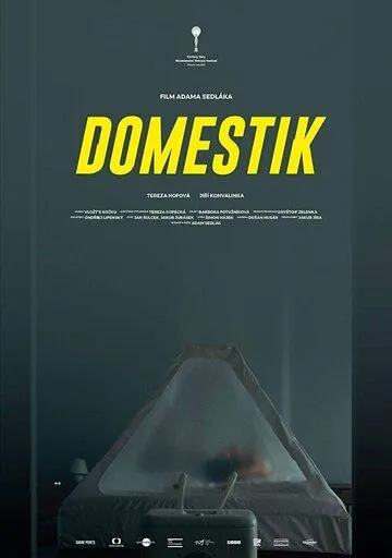 Домашний режим / Domestik (2018)