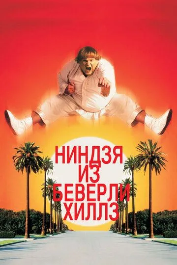 Ниндзя из Беверли-Хиллз / Beverly Hills Ninja (1997)