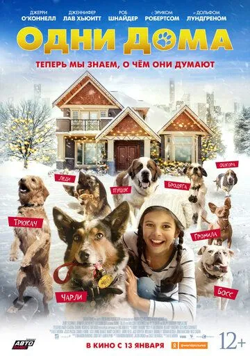 Одни дома / Pups Alone (2021)