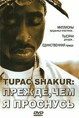 Tupac Shakur: Прежде, чем я проснусь / Tupac Shakur: Before I Wake... (2001)