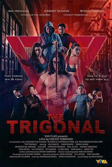 Тригонал: Борьба за справедливость / The Trigonal: Fight for Justice (2018)