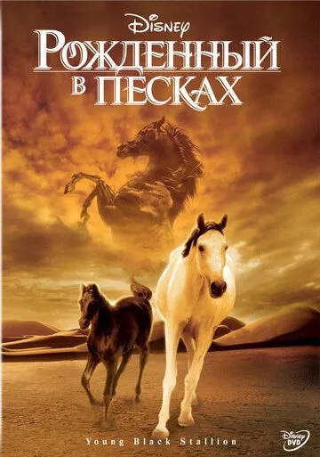 Рожденный в песках / Young Black Stallion (2003)