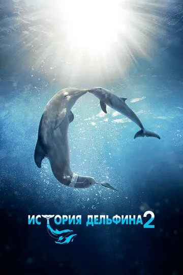 История дельфина 2 / Dolphin Tale 2 (2014)