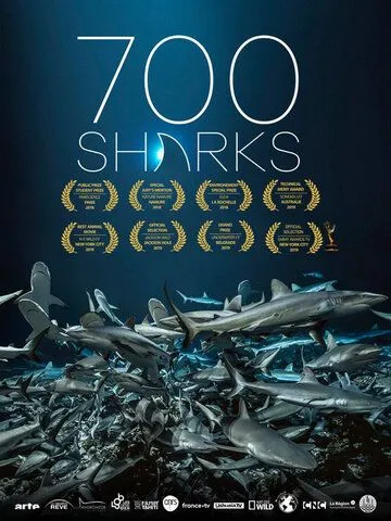 700 акул / 700 Sharks (2019)