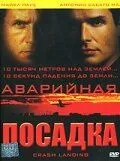 Аварийная посадка / Crash Landing (2005)