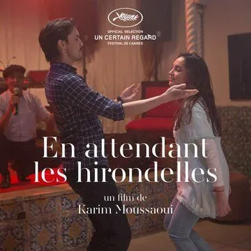 Когда вернутся птицы / En attendant les hirondelles (2017)