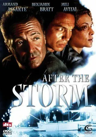 После шторма / After the Storm (2001)